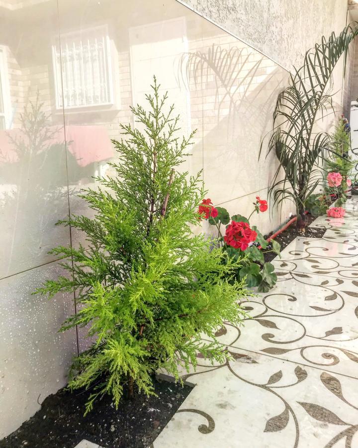Shahal Apartments Беэр-Шева Экстерьер фото
